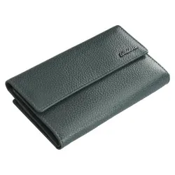 WildHorn Ladies Leather Purse…