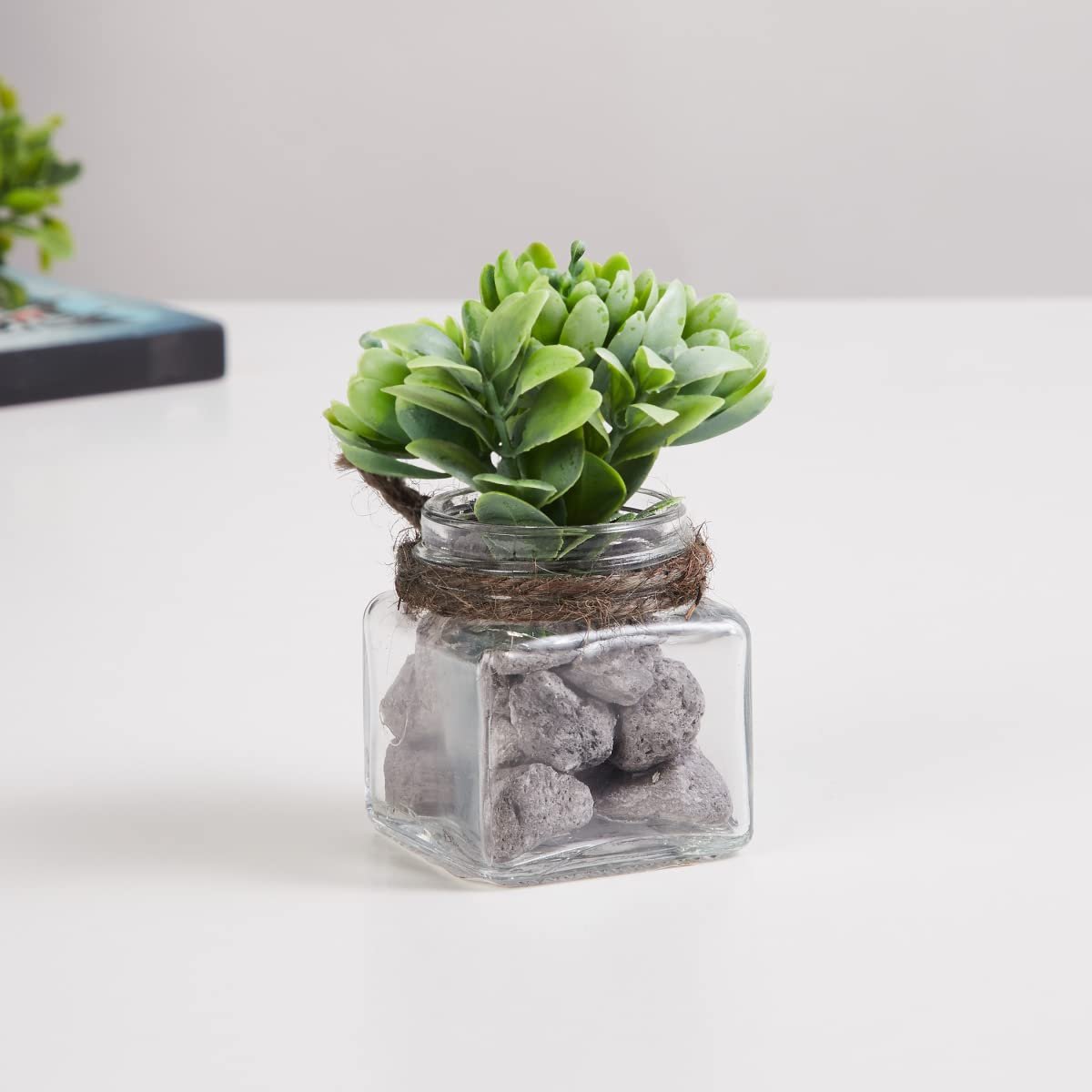 Home Centre Corsica Eden Green Artificial Succulent Flower Arrangement in Glass Jar