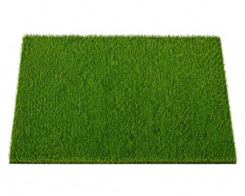 Premium Artificial Grass Mat for Balcony, Garden & Entrance | Soft Anti-Slip Washable Green Turf Floor Mat for Indoor Outdoor Home Decor | Synthetic Lawn Mat | Medium | 16 X 24