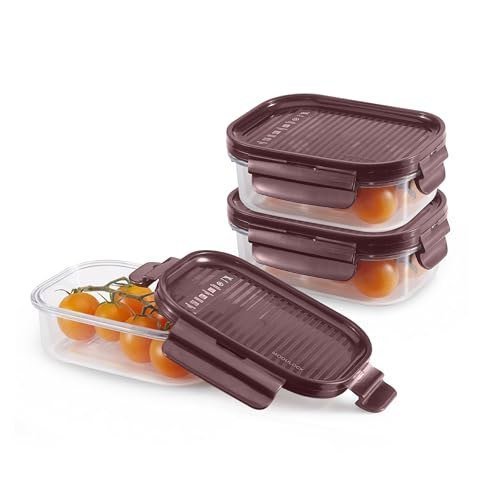 CELLO Modulock Rectangular Pet Storage Container for Kitchen Set of 3 Pcs, 260ml Burgundy | Freezer & Fridge Safe Stackable Airtight Kitchen Storage Container Jar Set for Flour Pasta Sugar Tea Coffee