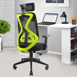 ASTRIDE Ergofit Ergonomic Office Chair for Home | 3-Years Warranty | 2D Headrest, Adjustable Arms & Lumbar Support | Tilt Lock Mechanism