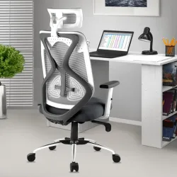 ASTRIDE Ergofit Ergonomic Office Chair for Home | BIS Certified | 2D Headrest, Adjustable Arms & Lumbar Support | Tilt Lock Mechanism DIY