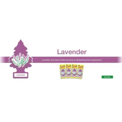 Little Trees Lavender Air Freshener (Pack of 3) | Calming Herbal Fragrance | Iconic Tree Hanging Design | For Car, Home, Wardrobe | Imported from USA